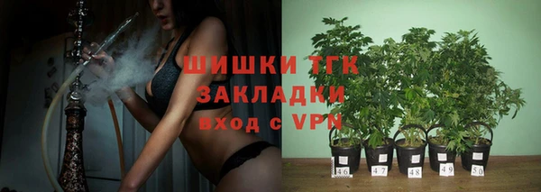 гашик Богородск