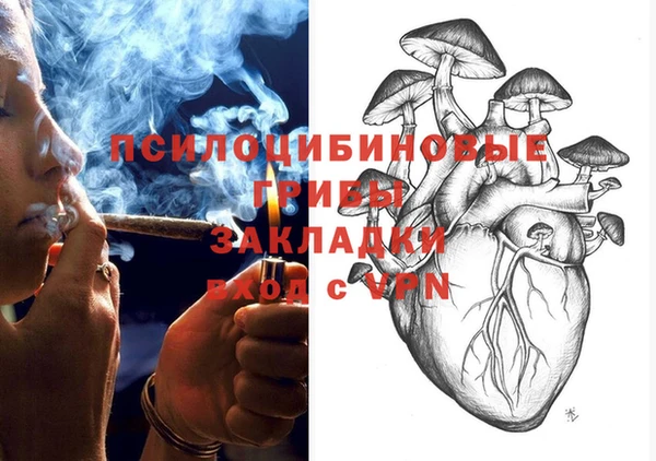 гашик Богородск
