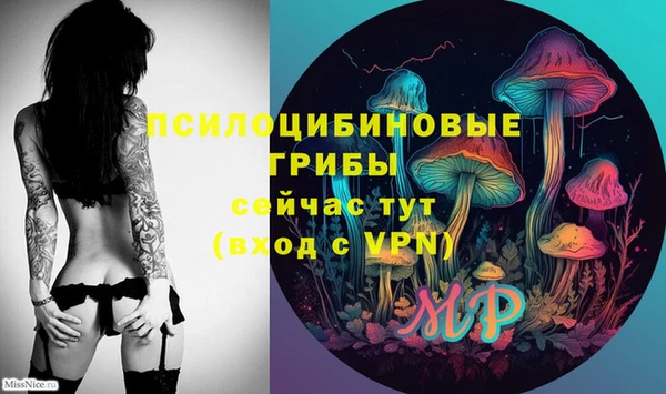 тгк Богородицк