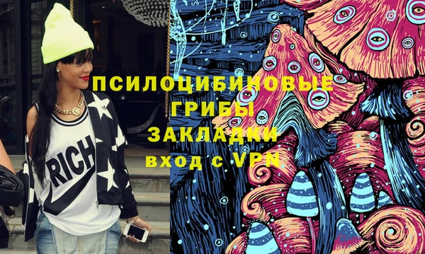 гашик Богородск