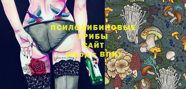 гашик Богородск