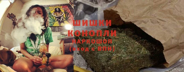 тгк Богородицк