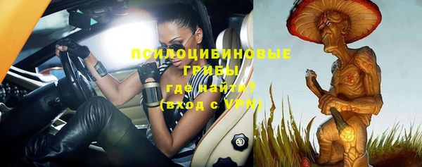 дурь Богданович