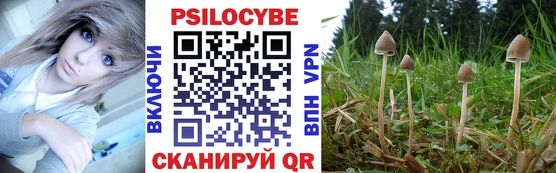 Галлюциногенные грибы Psilocybe  Пермь 